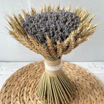 Лаванда с колосьями - 151 шт. Лаванда с колосьями - 151 шт.