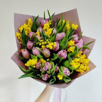 Розовые тюльпаны с мимозой - 25 шт. Розовые тюльпаны с мимозой - 25 шт.