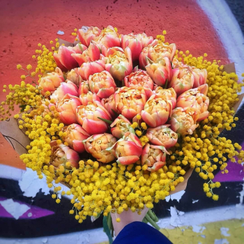 Мимоза с тюльпанами - 51 шт. Мимоза с тюльпанами - 51 шт.