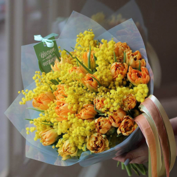 Мимоза с тюльпанами - 31 шт. Мимоза с тюльпанами - 31 шт.