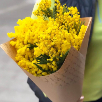 3 мимозы в букете 3 мимозы в букете