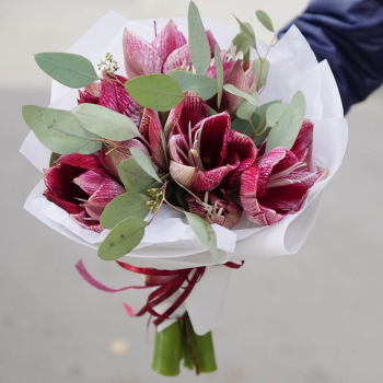 9 розовых амариллисов в букете 9 розовых амариллисов в букете