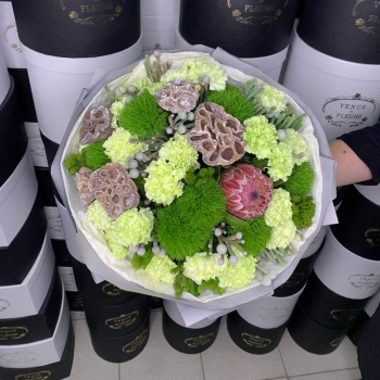 Лотос с протеей - 19 шт.