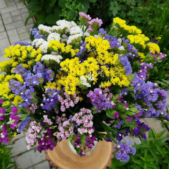 Разноцветная статица от 41 шт. Разноцветная статица от 41 шт.