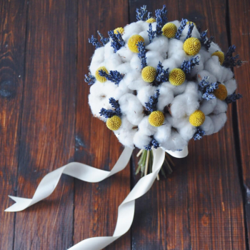 Хлопок с краспедией - 45 шт.