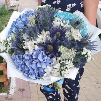 Эрингиум в миксе - 29 шт. Эрингиум в миксе - 29 шт.