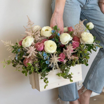 Ранункулюсы в кашпо - 19 шт. Ранункулюсы в кашпо - 19 шт.