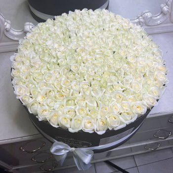 201 белая роза в коробке