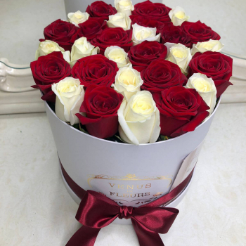 19 красно-белых  роз в коробке