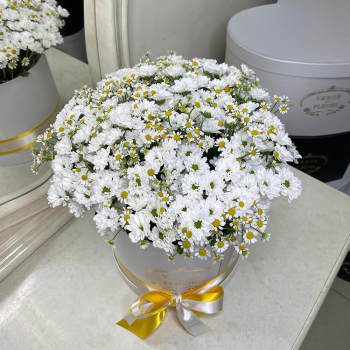 Хризантемы с ромашками - 35 шт.