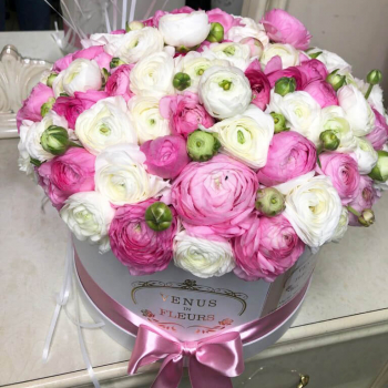 51 бело-розовый ранункулюс в букете