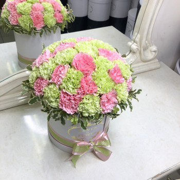 41 нежная гвоздика в коробке 41 нежная гвоздика в коробке