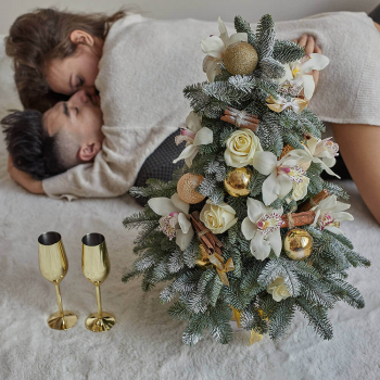 Живая Новогодняя ёлка - 70 см. Живая Новогодняя ёлка - 70 см.