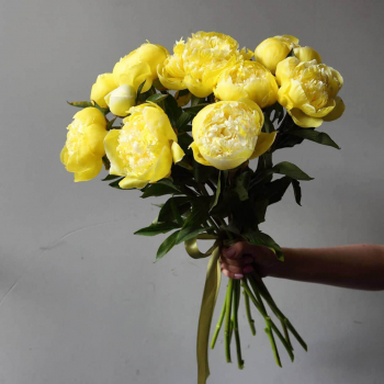 9 лимонных пионов в букете