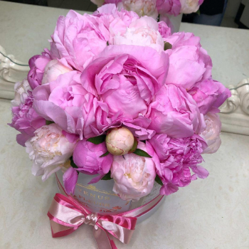 19 летних пионов в коробке