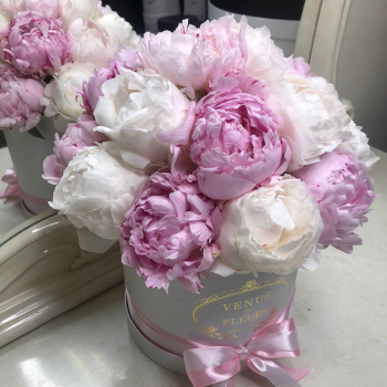 25 пионов в коробке