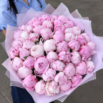 51 розовый пион в букете