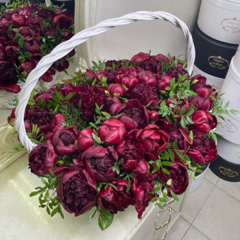 Бордовые пионы в корзине - 51 шт.
