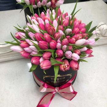 Розовый микс тюльпанов - 101 шт. Розовый микс тюльпанов - 101 шт.