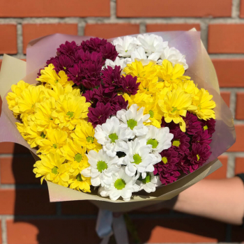Букет-микс из 9 кустовых хризантем