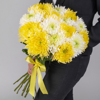 15 бело-желтых хризантем в букете