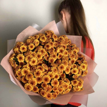 51 оранжевая хризантема 51 оранжевая хризантема