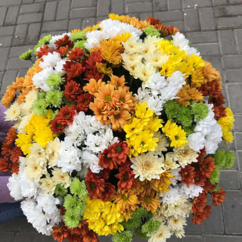 51 кустовая хризантема в букете