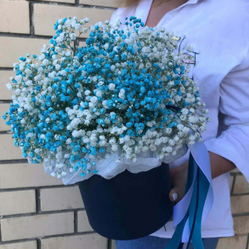 25 бело-бирюзовых гипсофил в коробке 25 бело-бирюзовых гипсофил в коробке