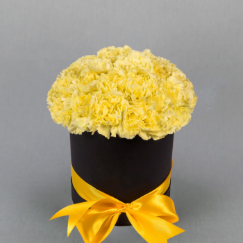 29 желтых гвоздик в коробке 29 желтых гвоздик в коробке