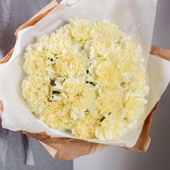 19 желтых гвоздик в букете