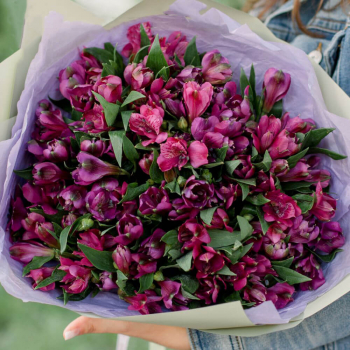 29 альстромерий в букете 29 альстромерий в букете