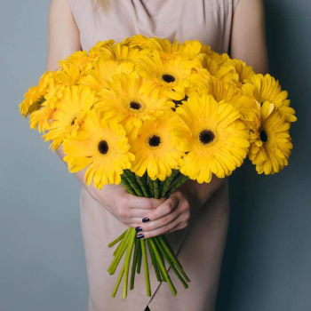 19 желтых гербер в букете 19 желтых гербер в букете