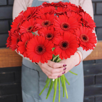 25 красных гербер в букете 25 красных гербер в букете