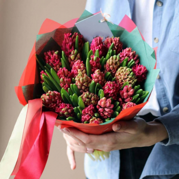 25 красных гиацинт в букете