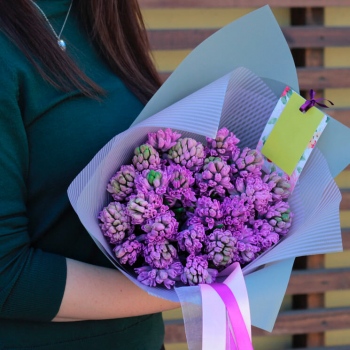25 фиолетовых гиацинт в букете