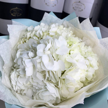 3 белых гортензии в букете 3 белых гортензии в букете