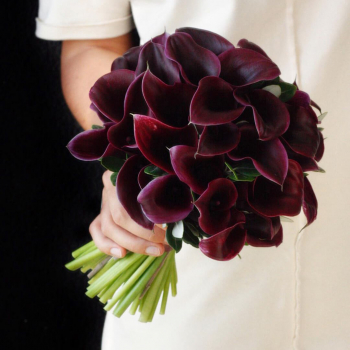 29 бордовых калл в букете 29 бордовых калл в букете