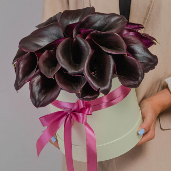 25 черных калл в коробке 25 черных калл в коробке