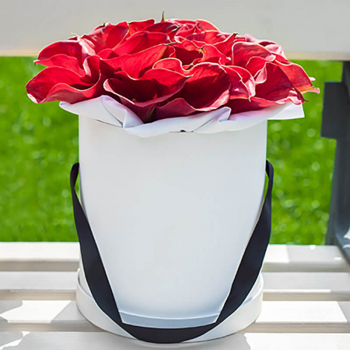 25 красных калл в коробке 25 красных калл в коробке