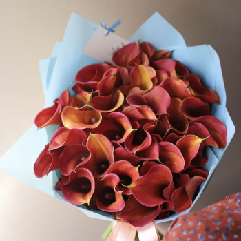 41 оранжевая калла в букете 41 оранжевая калла в букете