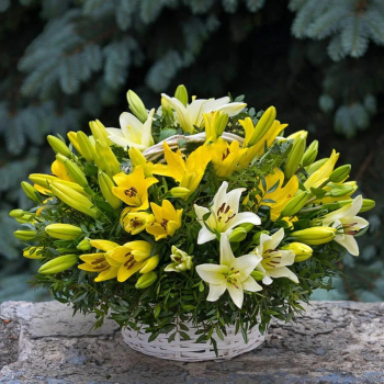 29 желто-белых лилий в корзине 29 желто-белых лилий в корзине