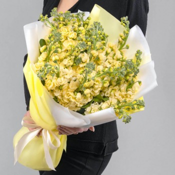 19 желтых маттиол в букете 19 желтых маттиол в букете
