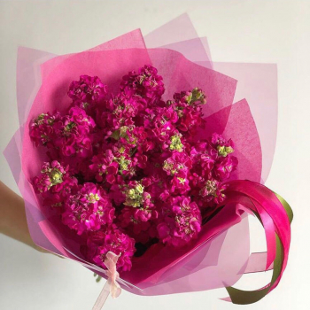 19 малиновых маттиол в букете