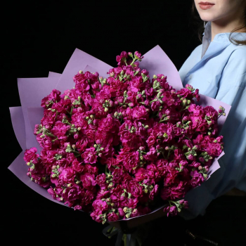 41 малиновая маттиола в букете