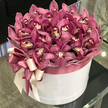 25 бордовых орхидей в шляпной коробке