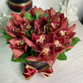 13 темно-бордовых орхидей в коробке 13 темно-бордовых орхидей в коробке