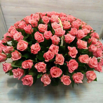 Розовые розы в корзине от 51 шт.