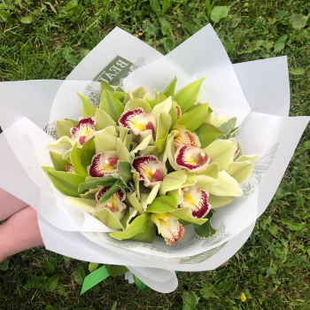 Зеленые орхидеи от 13 шт.