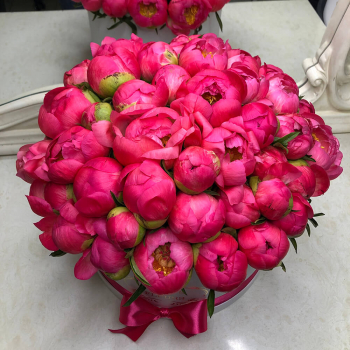 Коралловые пионы в коробке - 51 шт. Коралловые пионы в коробке - 51 шт.