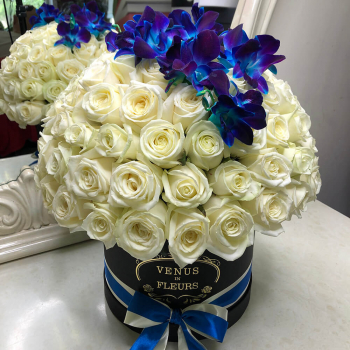 Белые розы с синими орхидеями от 51 шт.